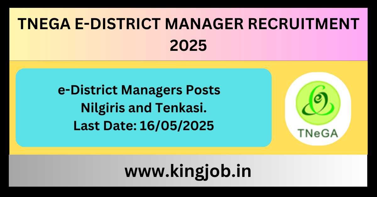 TNeGA e-District Manager Recruitment 2025